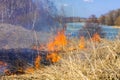 Close up view at dry grass burning