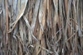 Close up view , dry straw thatch roof of traditional Royalty Free Stock Photo
