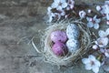 Close up view of an Easter nest with white and pink freckled and spring tree branches on wooden background Royalty Free Stock Photo