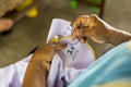 Close-up view of an elderly woman hand using a needle and blue thread to embroider