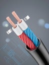 A close-up view of an electrical cable cross-section reveals red and blue twisted wires with copper strands, accompanied by a Royalty Free Stock Photo