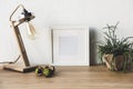 close up view of empty photo frame, table lamp and plant in flowerpot Royalty Free Stock Photo