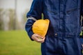 Close-up view of engineering male construction worker holding safety yellow helmet Royalty Free Stock Photo