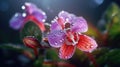 Close-up view of an exquisite flower, with its petals covered in water droplets. These droplets are shining brightly