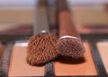 Close up view of eye make up brushes on colorful pallet Royalty Free Stock Photo