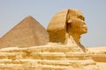 Close-up view of the famous Sphinx of Giza, with the Great Pyramid in the background, in Cairo, Egypt.