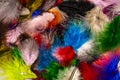 Close up view of feathers of different colors. Beautiful colorful backgrounds Royalty Free Stock Photo