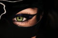 Close-up view of female batwoman green eye under black mask. Beautiful make-up with glitter eyeshadows and arrow, cat Royalty Free Stock Photo