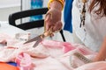 Close up view of female dress maker hands cutting something