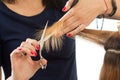 Close up view of female hairdresser hands cutting hair tips Royalty Free Stock Photo