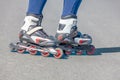 Close-up view of female legs in roller blades Royalty Free Stock Photo