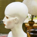 Close up of a Female Plastic Mannequin Head