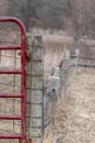 Close up view of fence in the middle of farm during spring time