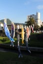 A close-up view of the festival of Japanese koinobori flying koi in Beppu