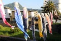 A close-up view of the festival of Japanese koinobori flying koi in Beppu