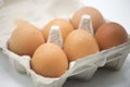 Filled egg carton on white background with soft shadows Royalty Free Stock Photo