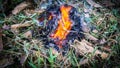 Close up view of fire burning the old dried old leaves in the garden Royalty Free Stock Photo