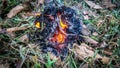 Close up view of fire burning the old dried old leaves in the garden Royalty Free Stock Photo