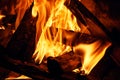Close-up view of firewood burning in the fire flames Royalty Free Stock Photo