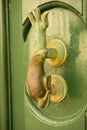 Close-up view of the fish shaped knocker on a green door Royalty Free Stock Photo