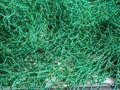 Close up view of fishing nets Royalty Free Stock Photo