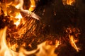 Close up view of flames. Sparks from the bonfire Royalty Free Stock Photo