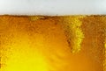 Close up view of floating bubbles in light beer texture