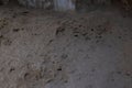 Close-up view of floor texture in mountain Quadirikiri cave. Aruba.. Royalty Free Stock Photo