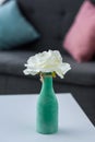 close up view of flower in vase on coffee table Royalty Free Stock Photo