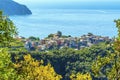 A close up view through the foliage of the coastal path over the hill top village of Corniglia, Italy Royalty Free Stock Photo