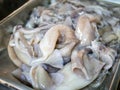 Close up view of fresh calamary