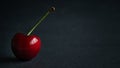 Close up view of fresh fruit sweet ripe cherry in dark light and black background with water droplets low key still life Royalty Free Stock Photo