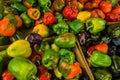 Fresh Home Grown Colorful Peppers Royalty Free Stock Photo
