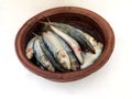 Close up view of Fresh Indian oil sardine on a Sand pot,White Background Royalty Free Stock Photo