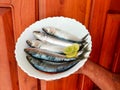 Fresh Indian oil sardine on a white pot,Decorated with herbs and Vegetables.Wooden Background.Holding with hand Royalty Free Stock Photo