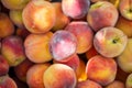 Close-up view of fresh organic peaches. Peaches background Royalty Free Stock Photo