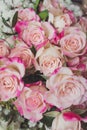 Close up view of fresh pastel pink and purple roses in a wedding or seasonal bouquet