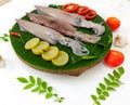 Close up view of fresh raw Loligo Squid (Loligo Duvauceli) Royalty Free Stock Photo