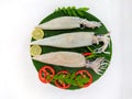 Close up view of fresh raw whole cleaned Loligo Squid (Loligo Duvauceli) decorated with curry leaves Royalty Free Stock Photo