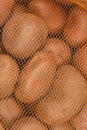 Red Potatoes in Net Royalty Free Stock Photo