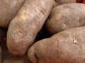 Close-Up View of Fresh Russet Potatoes at a Local Farmers Market Royalty Free Stock Photo