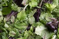 Close up view of fresh salad mix leaves, healthy organic food ingredients Royalty Free Stock Photo