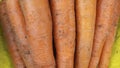 Close-up view of fresh and sweet orange carrots. Texture background of fresh large orange carrots. Product Image Vegetable Root