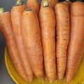 Close-up view of fresh and sweet orange carrots. Texture background of fresh large orange carrots. Product Image Vegetable Root