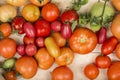 Close-up view of fresh tomatoes. Young juicy tomatoes. A lot of tomatoes. Heap of tomatoes. Summer agriculture farm market tray