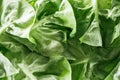 Close up view of fresh wet green lettuce leaves with water drops. Royalty Free Stock Photo