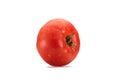 close up view of fresh wet tomato Royalty Free Stock Photo