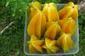 fresh starfruit or carambola (Averrhoa carambola)