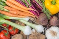 A close up view of freshly picked vegetables.