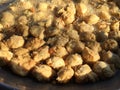 Close up view of fried batagor dumplings in Bandung, a very popular street food in Indonesia Royalty Free Stock Photo